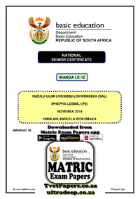IsiZulu SAL P2 Nov 2019 Memo.pdf